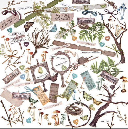 49 and Market nature study general elements